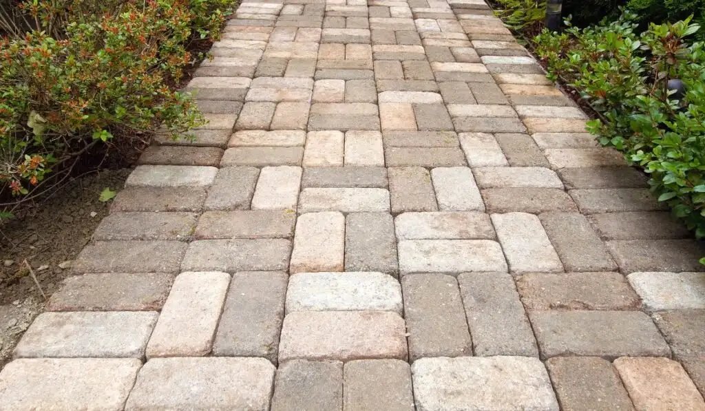 Which Garden Path Materials Are Easiest to Maintain