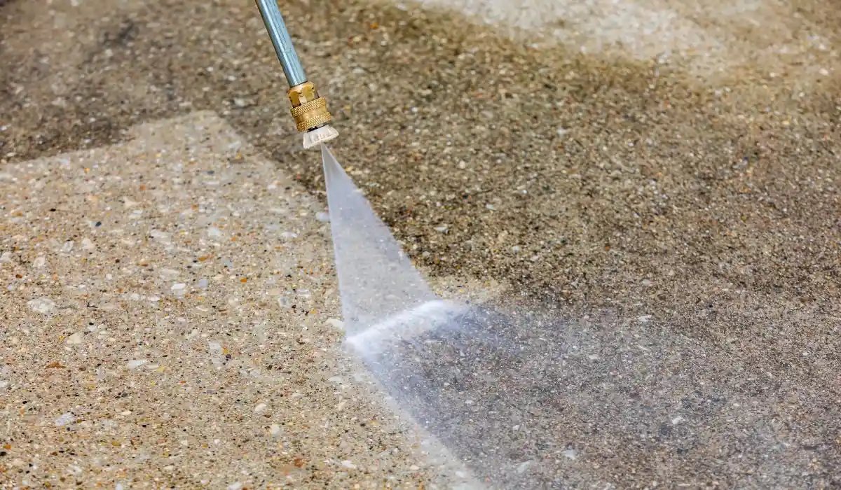 Which Garden Path Materials Are Easiest to Maintain